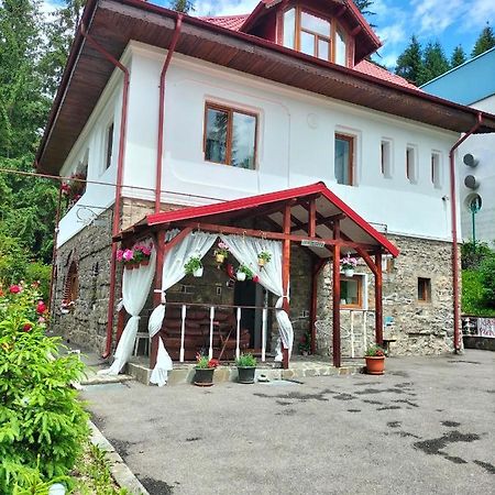 Casa Olguta Apartment Sinaia Luaran gambar