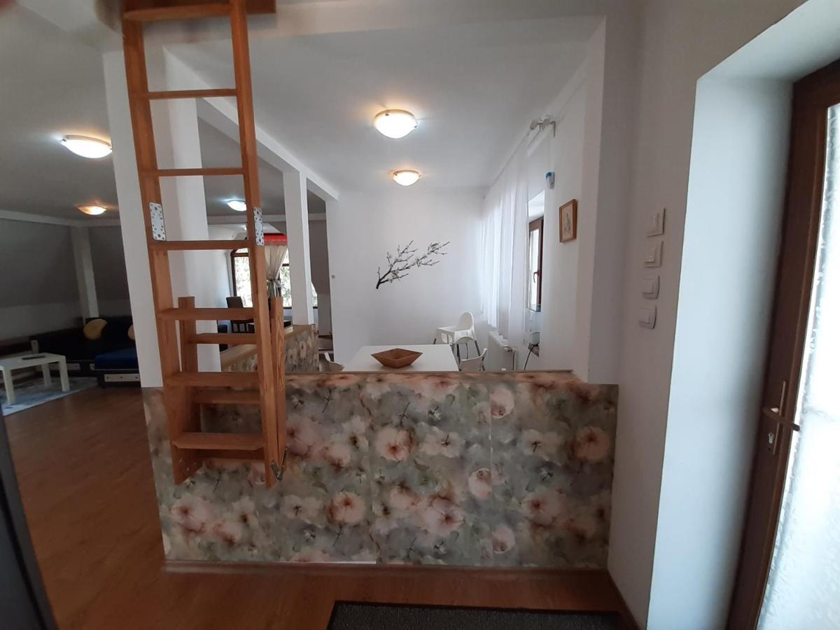 Casa Olguta Apartment Sinaia Luaran gambar