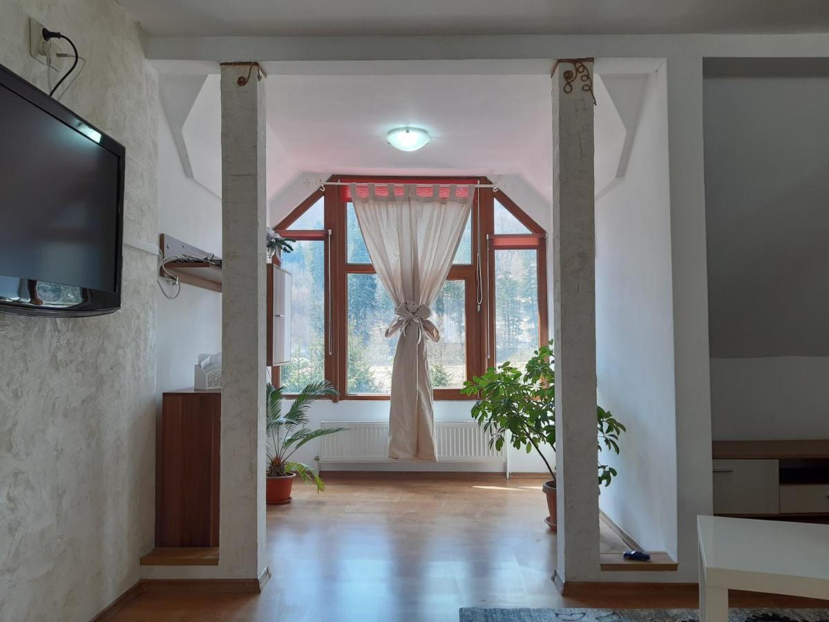Casa Olguta Apartment Sinaia Luaran gambar