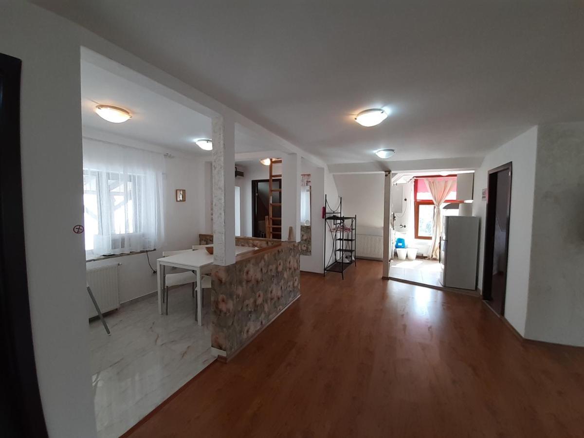Casa Olguta Apartment Sinaia Luaran gambar