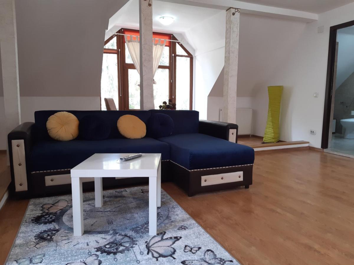 Casa Olguta Apartment Sinaia Luaran gambar