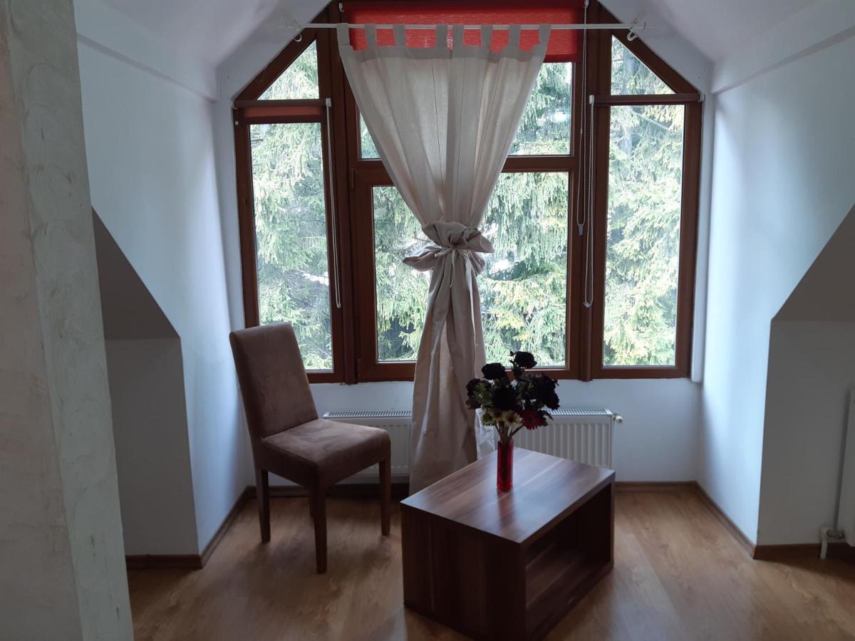 Casa Olguta Apartment Sinaia Luaran gambar