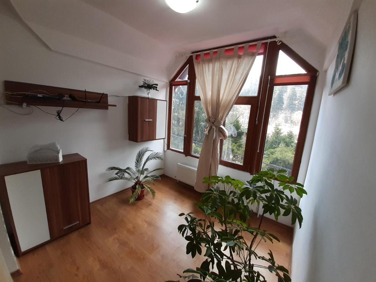 Casa Olguta Apartment Sinaia Luaran gambar