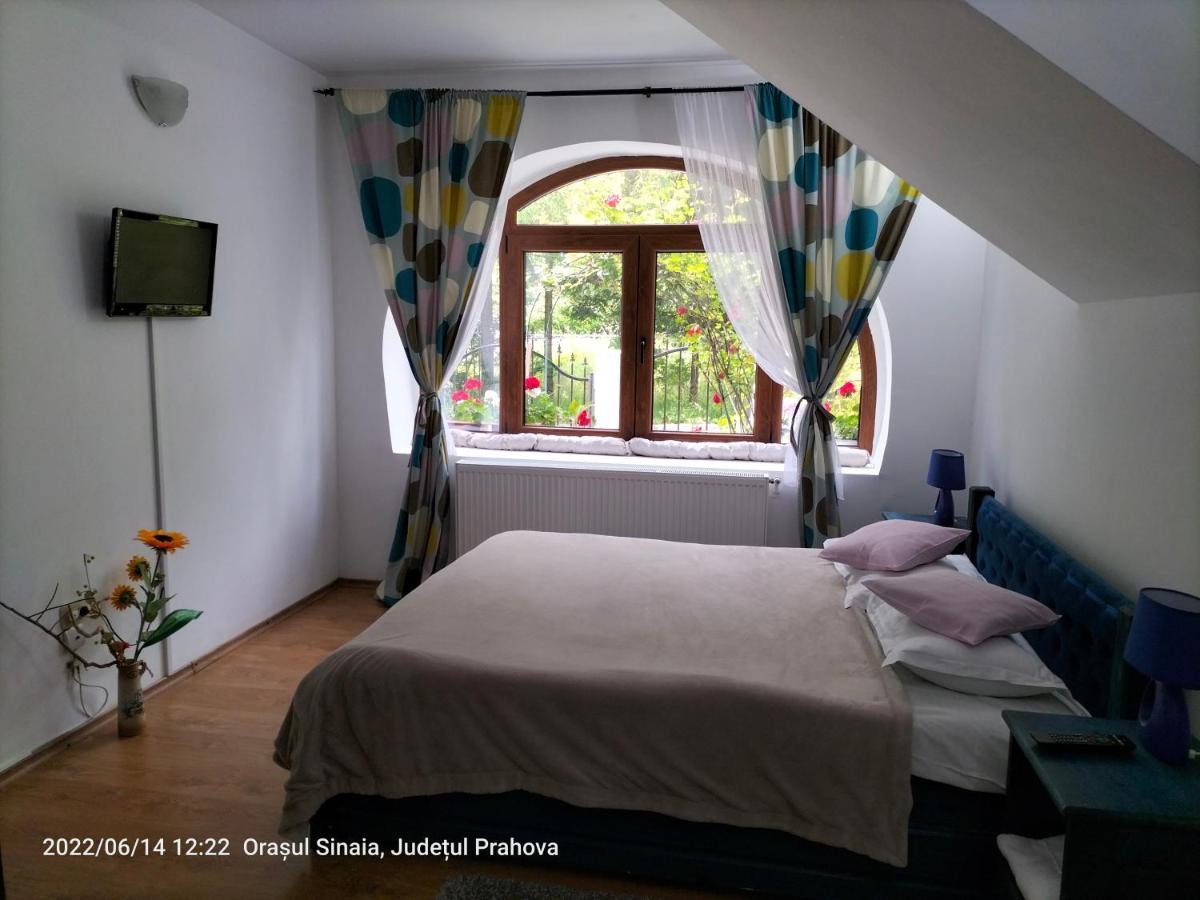 Casa Olguta Apartment Sinaia Luaran gambar