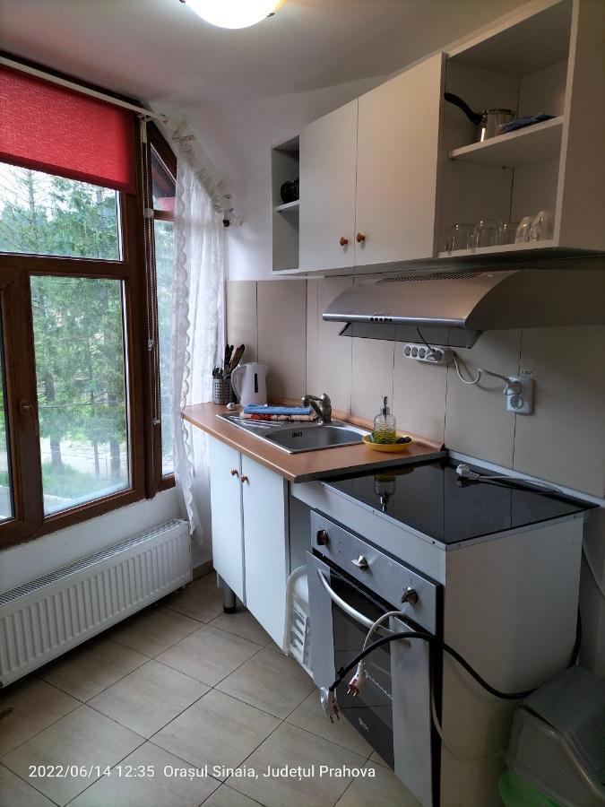 Casa Olguta Apartment Sinaia Luaran gambar
