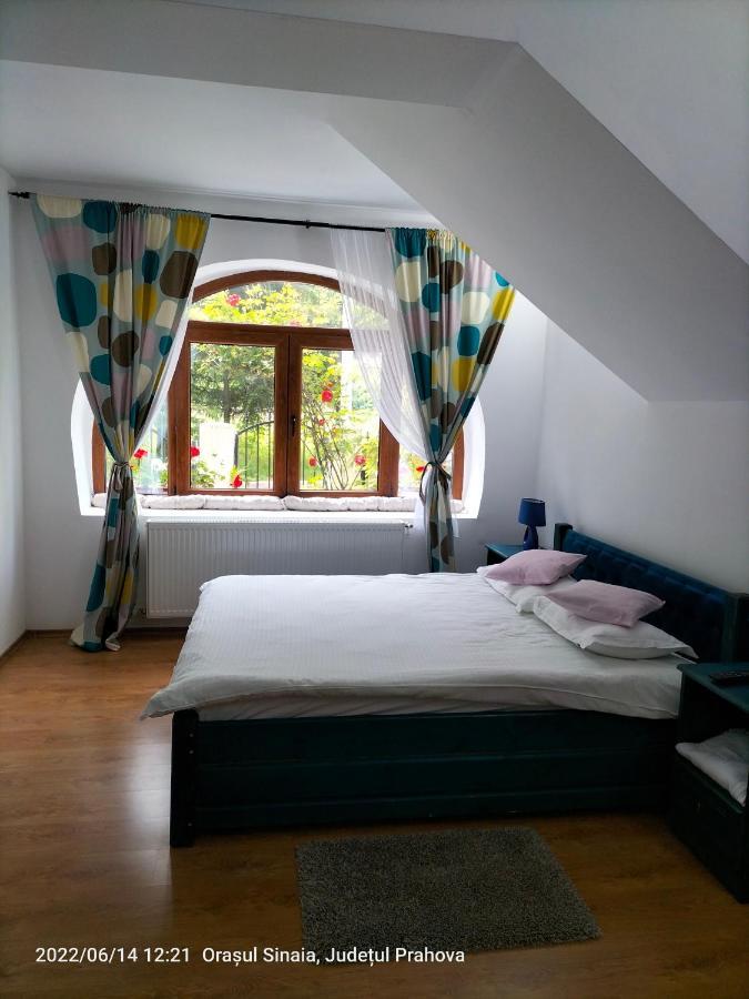 Casa Olguta Apartment Sinaia Luaran gambar