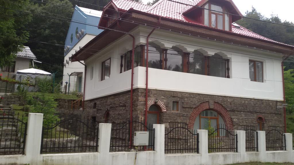 Casa Olguta Apartment Sinaia Luaran gambar