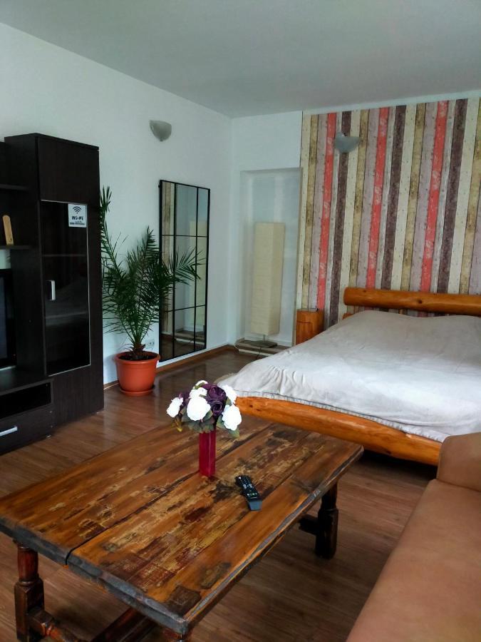 Casa Olguta Apartment Sinaia Bilik gambar