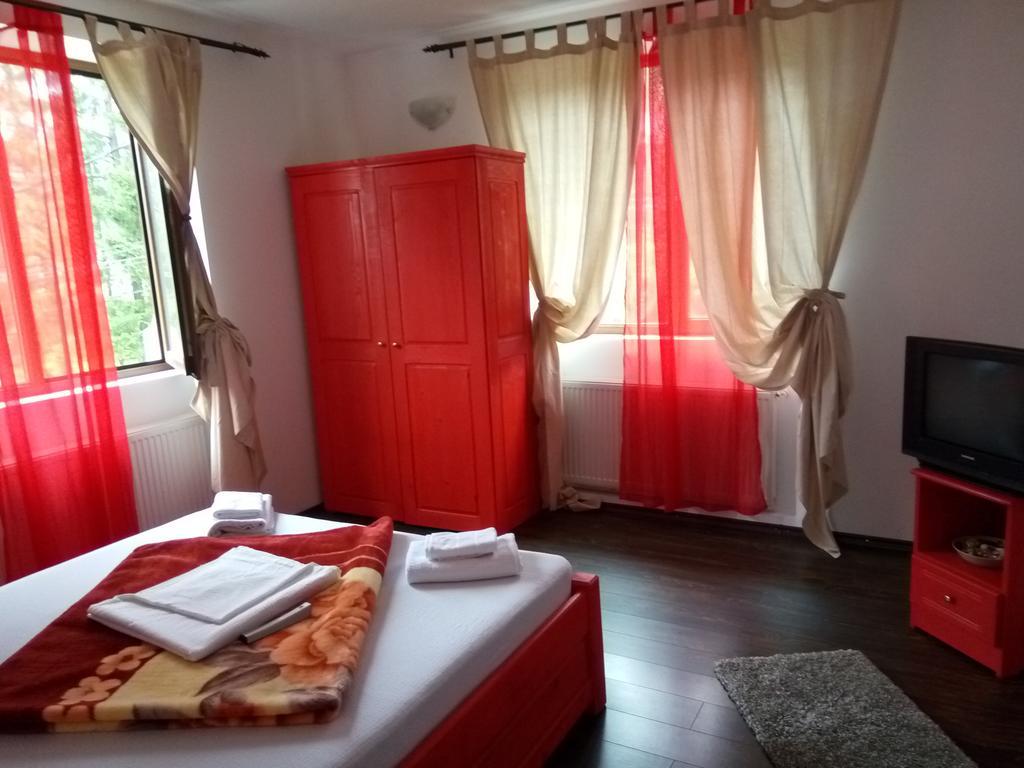Casa Olguta Apartment Sinaia Luaran gambar
