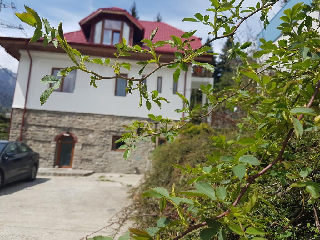 Casa Olguta Apartment Sinaia Luaran gambar