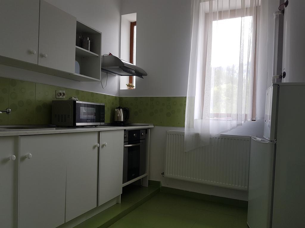 Casa Olguta Apartment Sinaia Luaran gambar