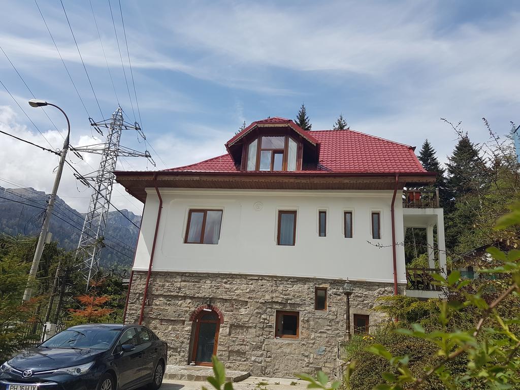 Casa Olguta Apartment Sinaia Luaran gambar