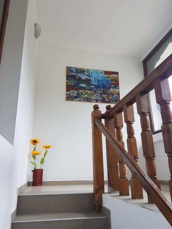 Casa Olguta Apartment Sinaia Luaran gambar